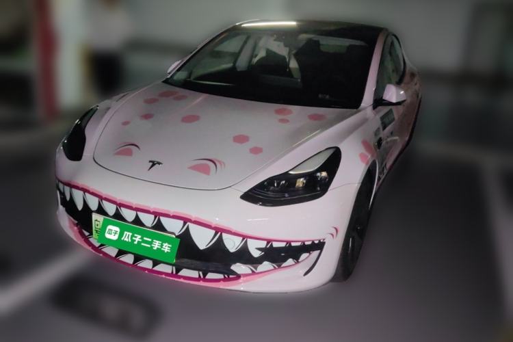 Used Tesla Model 3 2022 Rear-Wheel-Drive Version