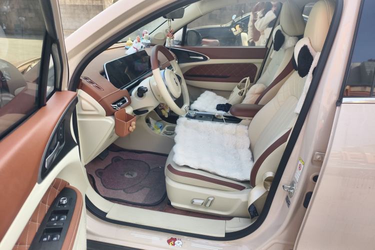 Used ORA Good Cat 2022 400km Standard Range Luxury Version Lithium Iron Phosphate