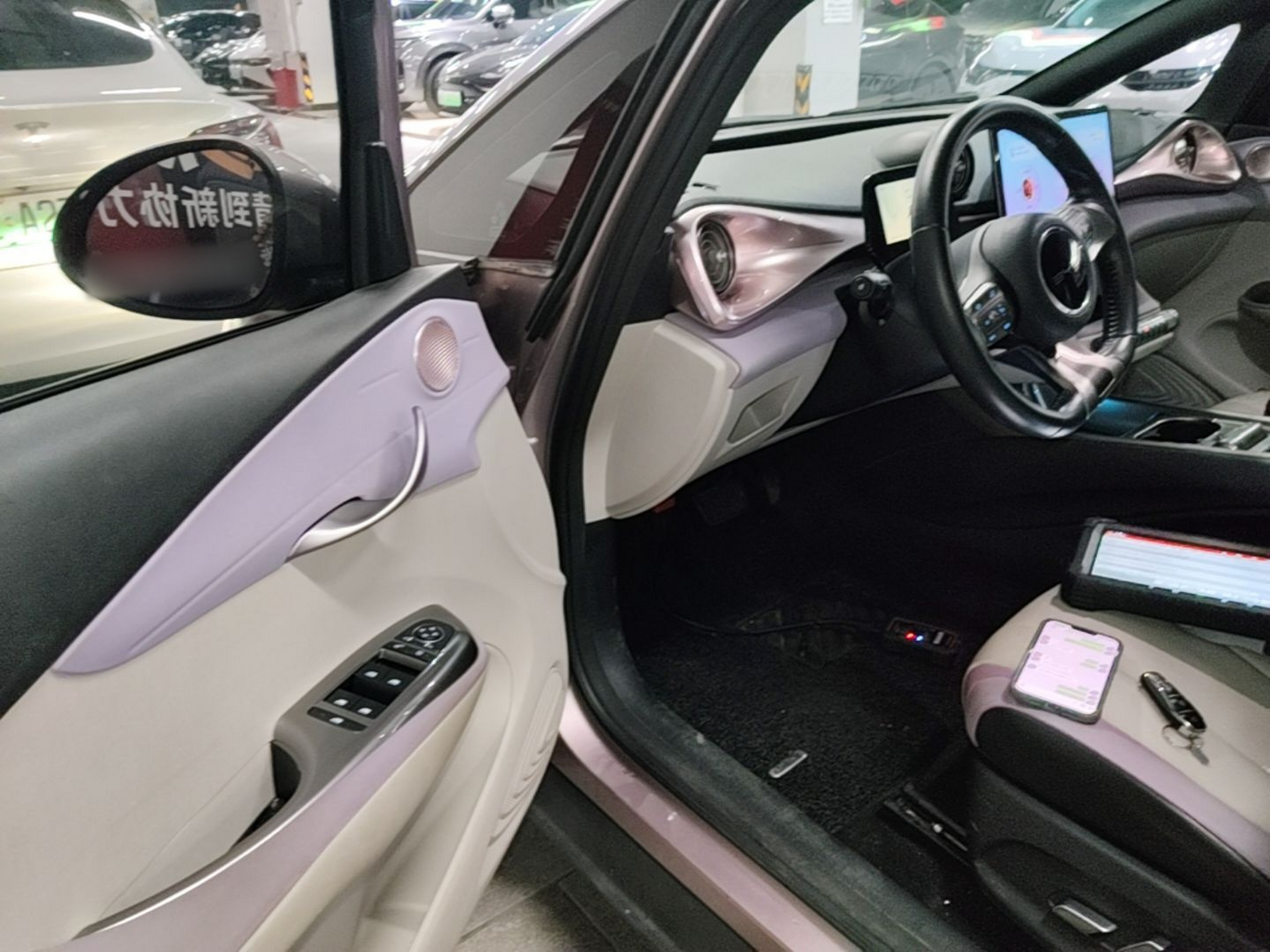 Interior delantero