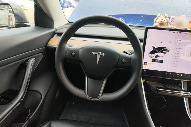 Used Tesla Model 3 2020 Standard Range Rear-Wheel Drive Upgraded Version