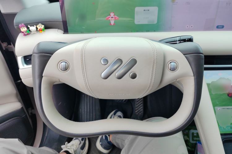 Used IM LS6 2023 Max Extended-Range Version
