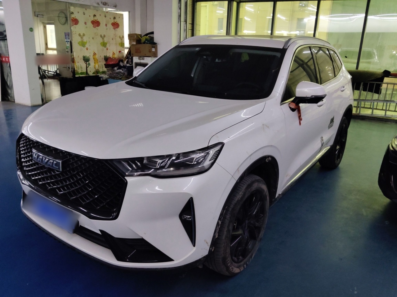 تحت مقدمة السيارة