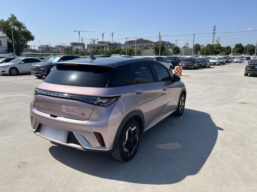 BYD Dolphin 2021 405 km Fashion Edition — снимка 14
