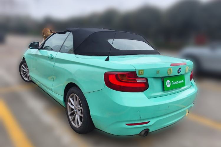 Used BMW 2 Series 2015 218i Convertible Coupe