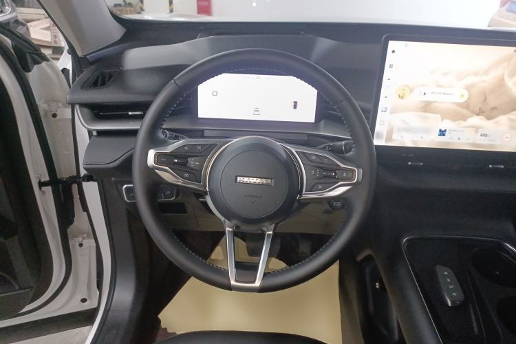 Used Haval H6 2024 1.5T Two-Wheel Drive Max