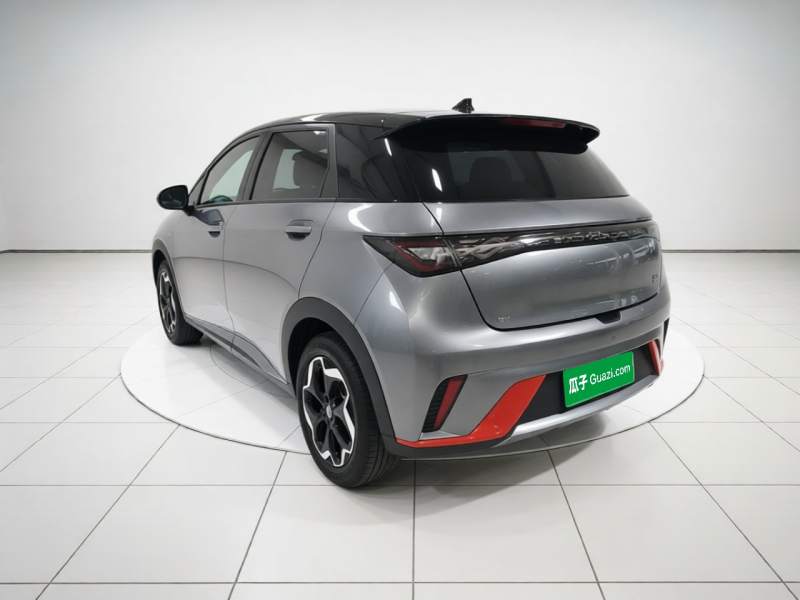 Used BYD Dolphin 2021 405 km Fashion Edition — 4