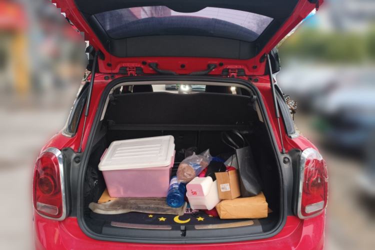 Used MINI Countryman 2019 1.5T COOPER Artist Weekend Travel Edition