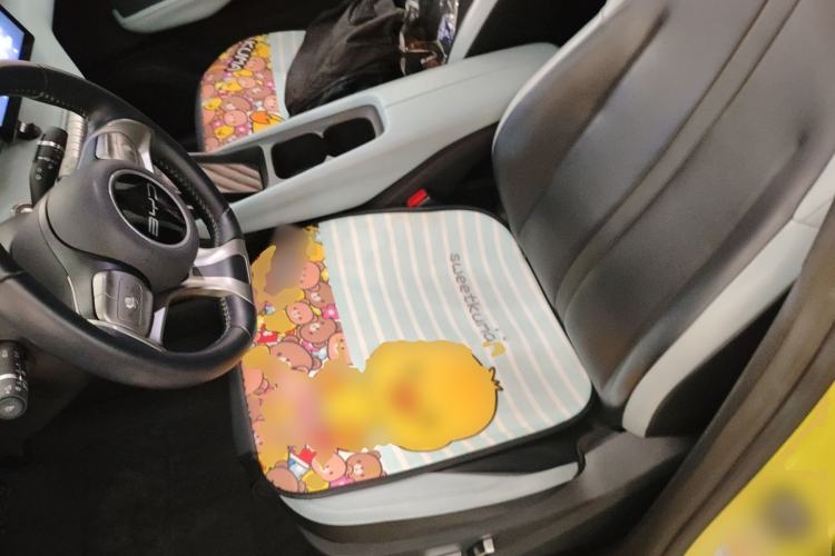 Used BYD Seagull 2023 Flying Edition
