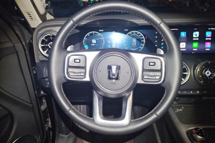 Used Tank 300 2024 2.0T Conqueror