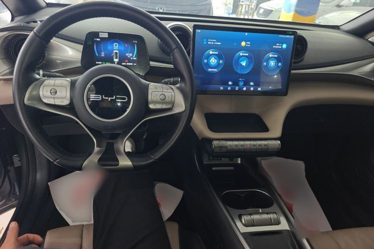 Used BYD Dolphin 2023 420 km Fashion Edition Center Console