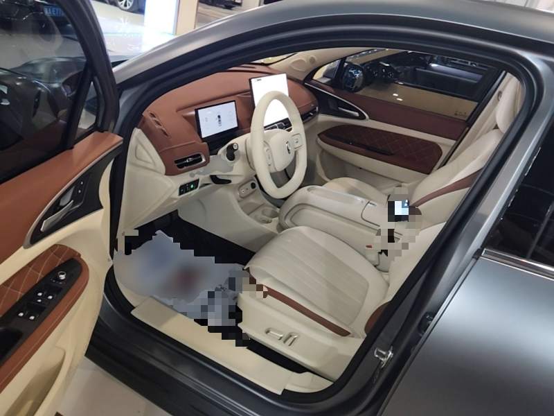 Used ORA Good Cat 2025 Model, 430 km Prestige Version — 15