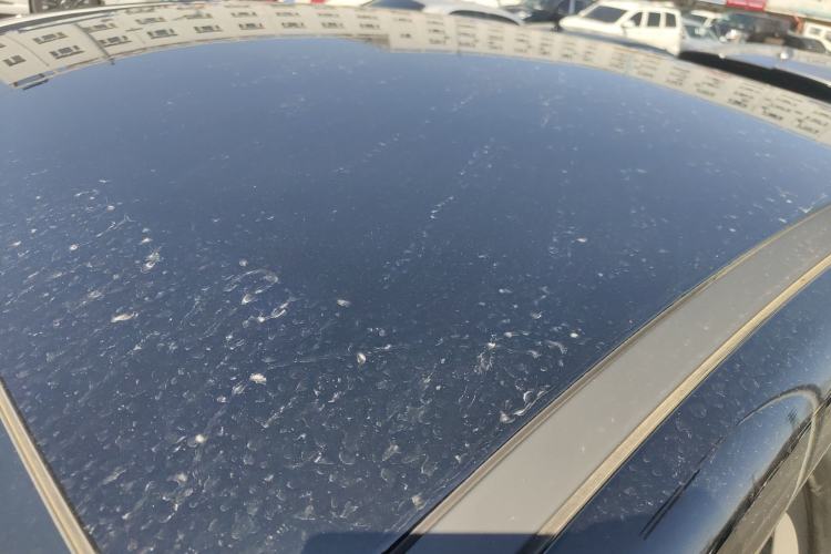 Used BYD Seal 05 DM-i 2025 DM-i Smart Drive 55KM Luxury Model Roof