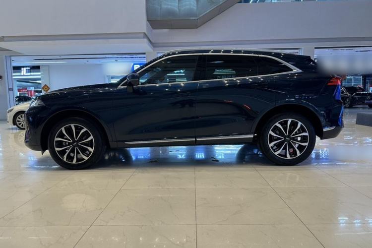 Used Wey Mocha 2021 2.0T Two-Wheel-Drive Premium Edition
