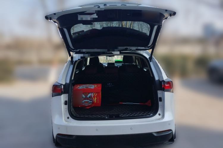 Used Lexus NX 2016 200 All-Wheel Drive FENGSHANG Version