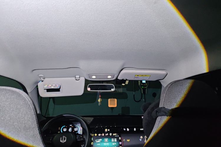 Used Leapmotor T03 2021 400 Lite Edition Lithium Iron Phosphate Headliner