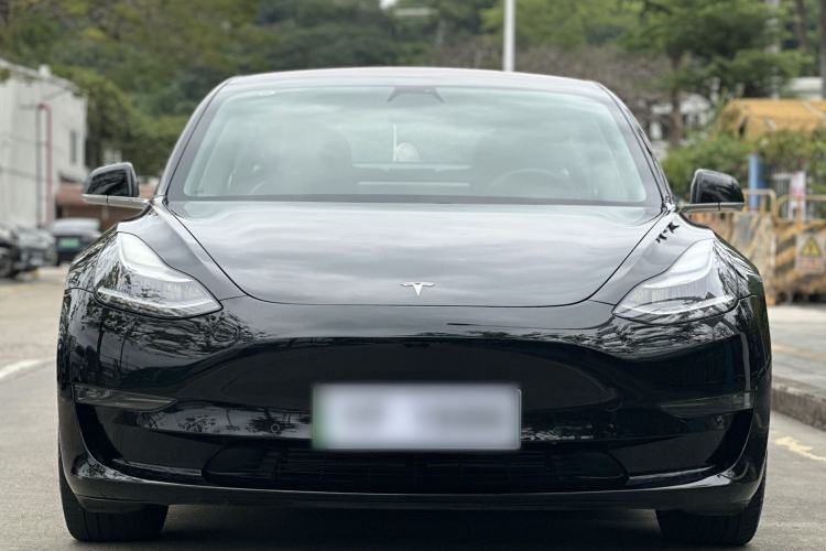 Used Tesla Model 3 2019 Long-Range Rear-Wheel-Drive Version Exterior 1