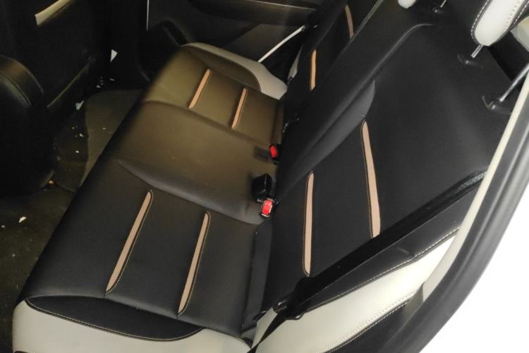 Used SOL E10X 2022 Flower Fairy Style Baby's Breath
