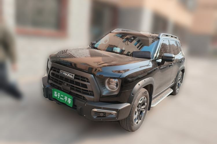 Used Haval DARGO 2024 2.0T DCT Chinese Rural Dog Edition