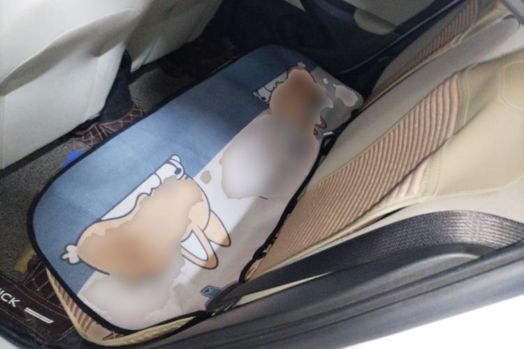 Used Buick Excelle 2020 15N Manual Elite Version Interior 4