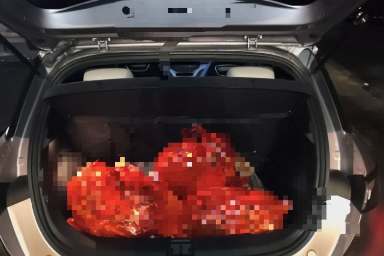 Used BYD Dolphin 2021 401km Knight Edition