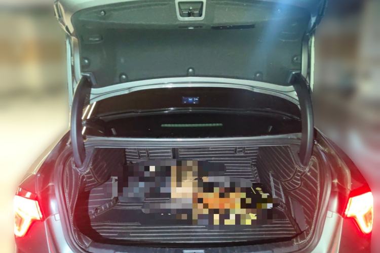 Used Lynk & Co 03 2022 1.5TD DCT JingPro Trunk