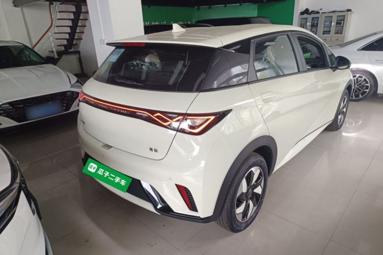 Used BYD Dolphin 2025 420km Free Edition Rear Right 45 Deg