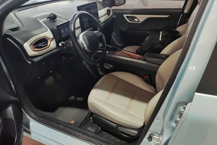 Used SOL E10X 2022 Flower Fairy Style Baby's Breath