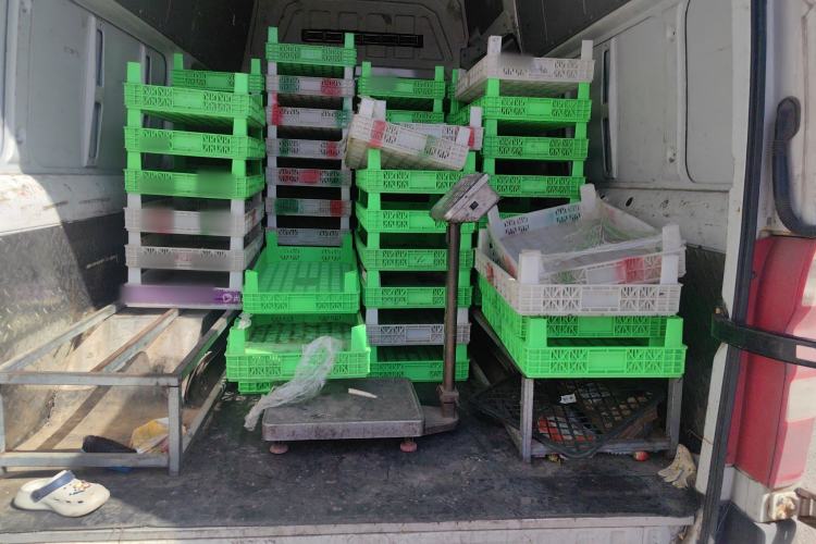 Used Foton Toano 2022 2.8T Manual Jixiang Van Long Wheelbase Ultra-High Roof Rear Dual Tires 3-Seater F2.8NS6B177L
