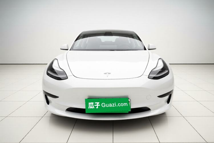 Used Tesla Model 3 2019 Standard Range Rear-Drive Upgraded Version Exterior 1