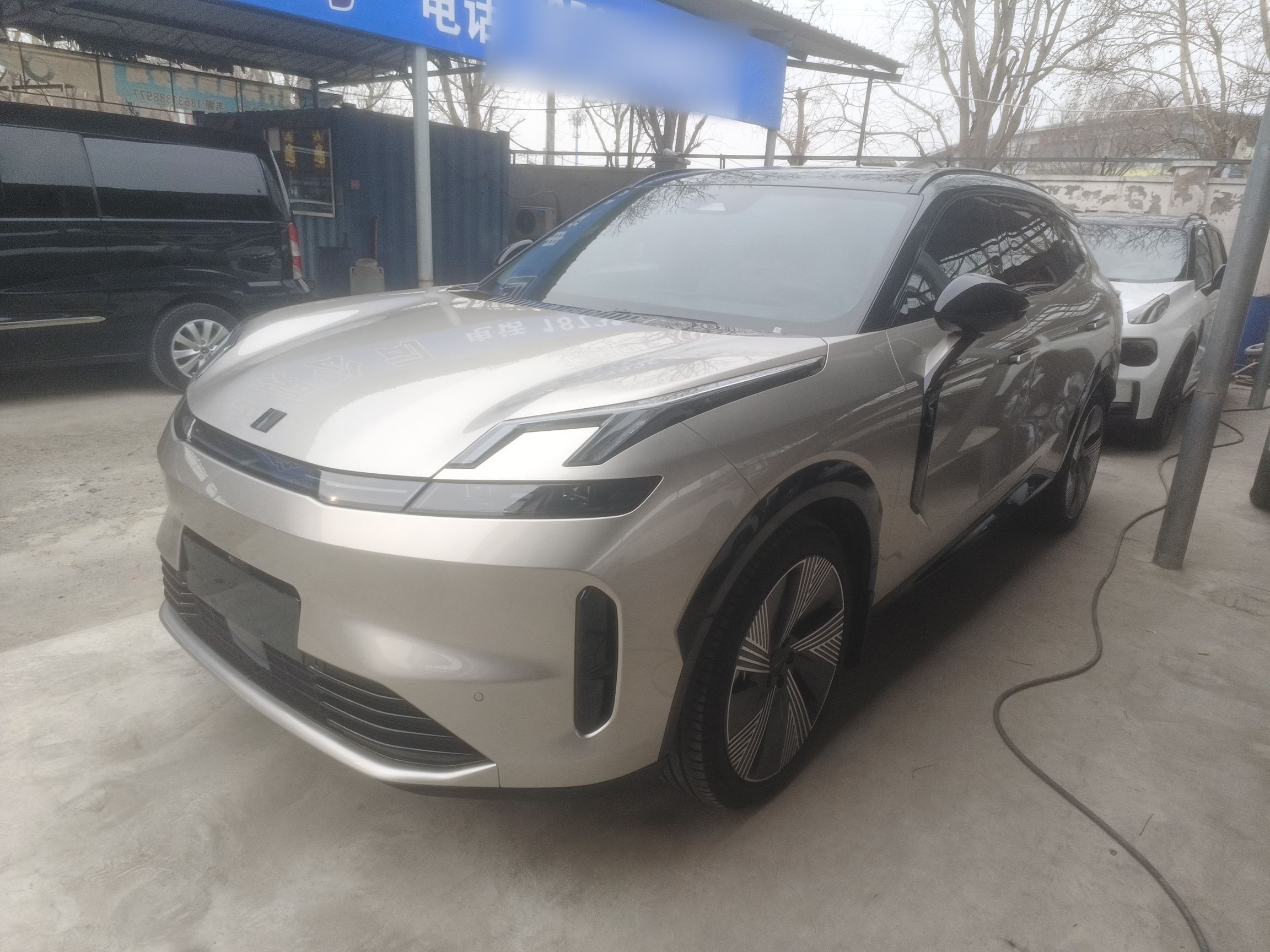 Parte inferior delantera