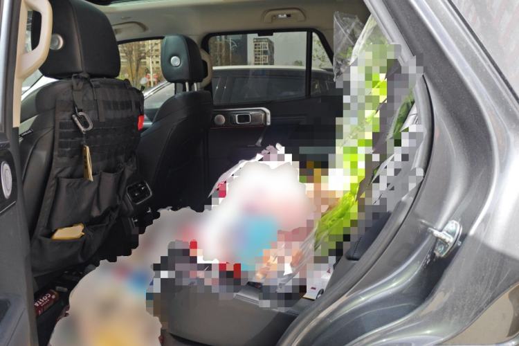 Used Tank 400 New Energy 2023 Hi4-T Super Edition Left Rear Seat