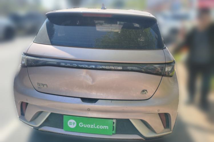 Used BYD Dolphin 2021 405 km Free Version
