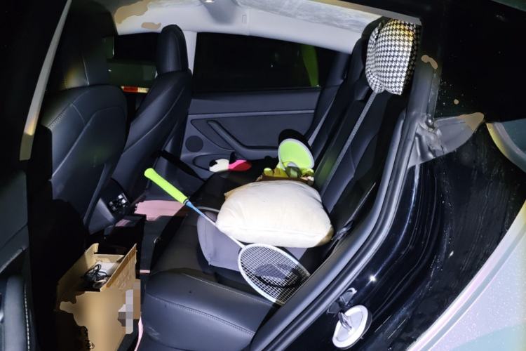 Used Tesla Model 3 2021 Revised Version Standard Range Rear-Wheel Drive Upgraded Edition 3D1