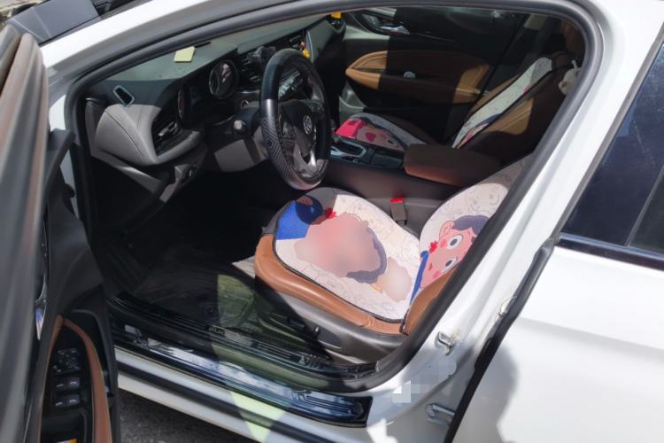 Used Buick Regal 2019 20T Elite Version China VI Standard
