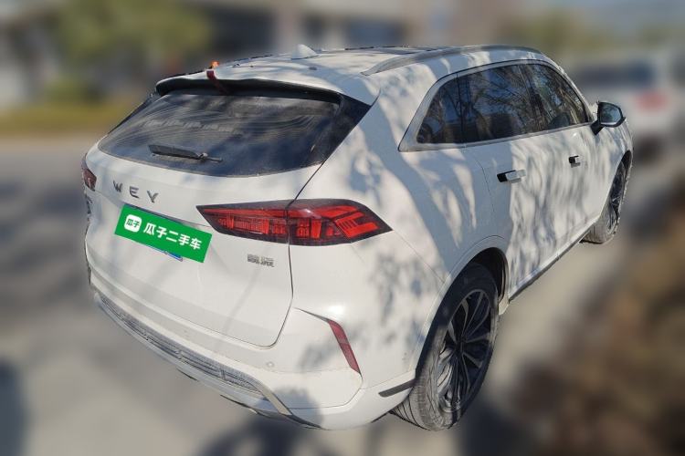 Used Wey Mocha 2021 2.0T Two-Wheel Drive Special Edition