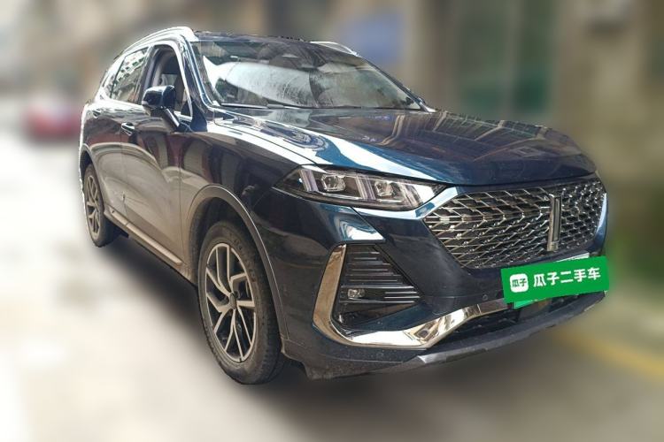 Used Wey Latte DHT-PHEV 2022 1.5T Two-Wheel-Drive Extra-Large Version
