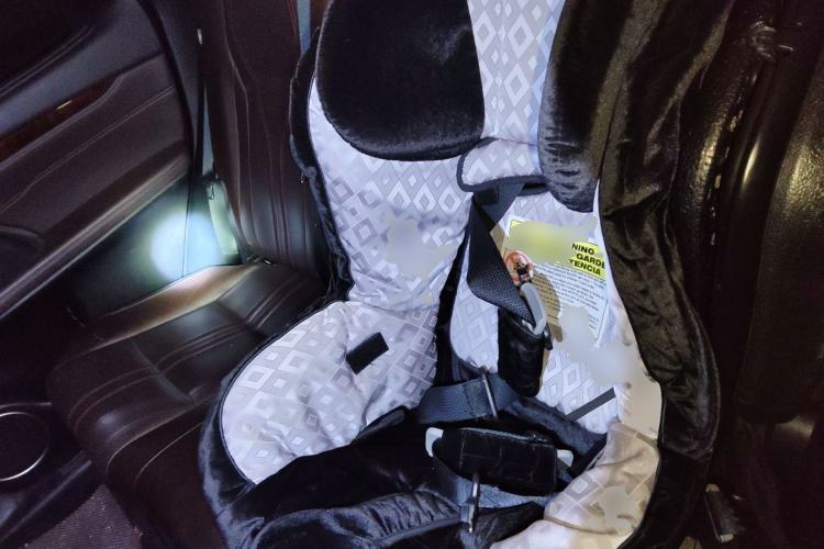 Used Lexus RX 2016 450h Four-Wheel Drive Luxury Edition Left Rear Seat