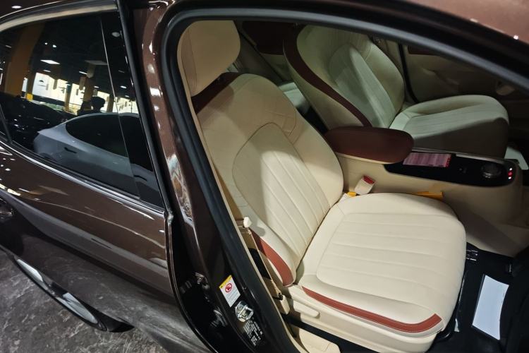 Used ORA Good Cat 2021 400km Standard Range Athena Edition Lithium-Ion Battery
