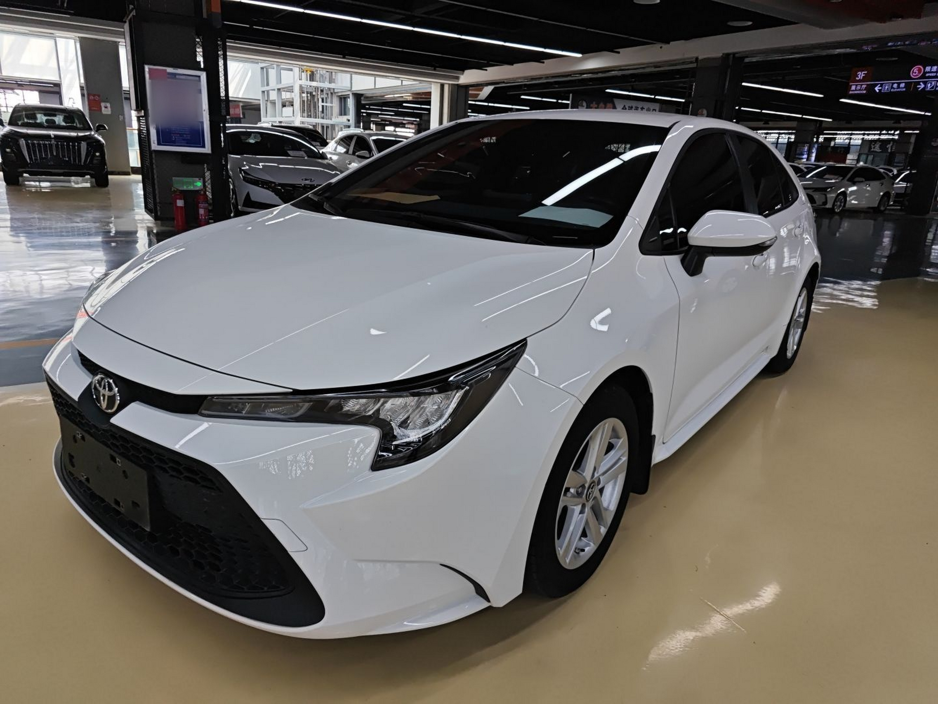 Parte inferior delantera