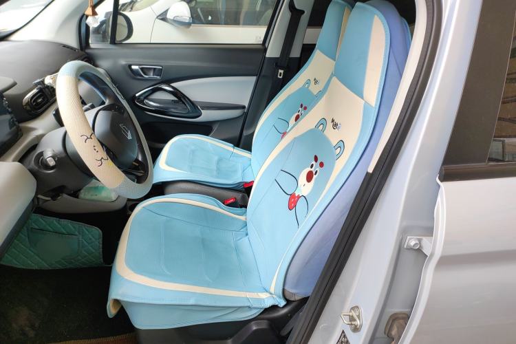 Used Leapmotor T03 2023 310 Lite Edition Left Front Seat