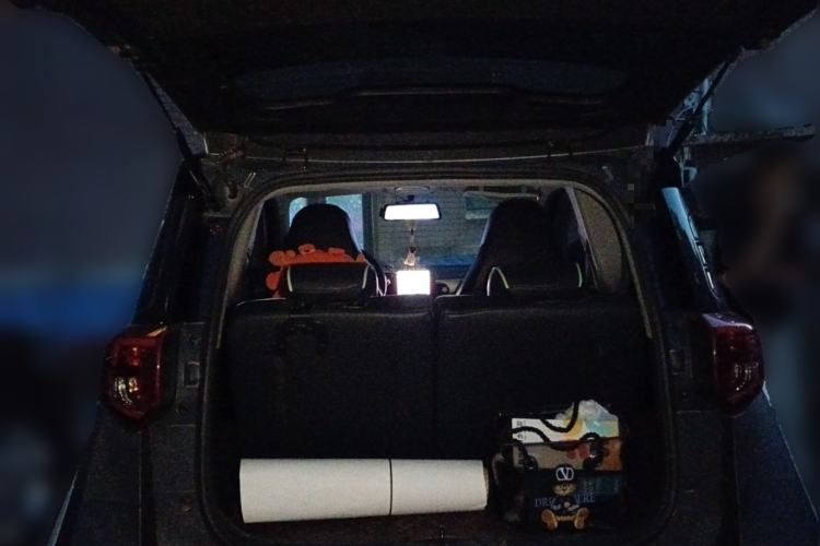 Used Chery New Energy Little Ant 2022 Sweet Pink Edition Low-Sugar Version Lithium Iron Phosphate 30 kW 301 km
