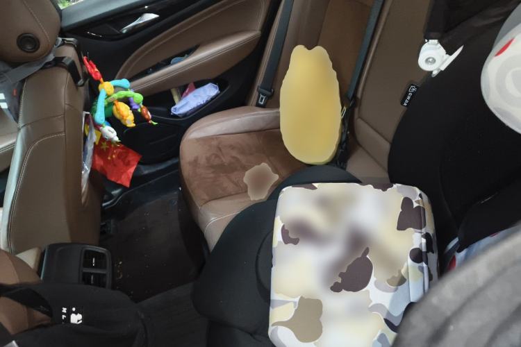 Used Buick Regal 2019 20T Elite Version China VI Standard