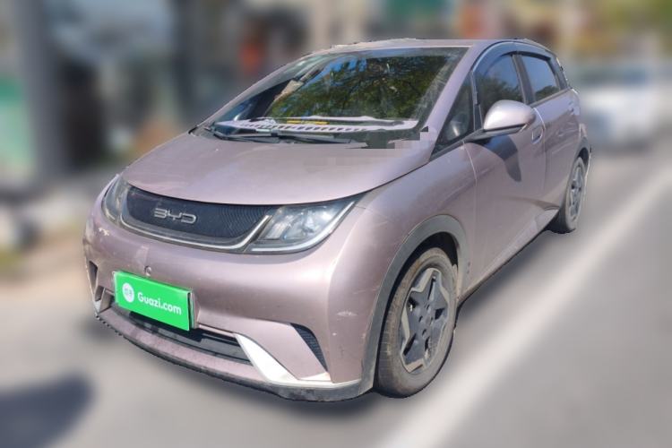 Used BYD Dolphin 2021 405 km Free Version