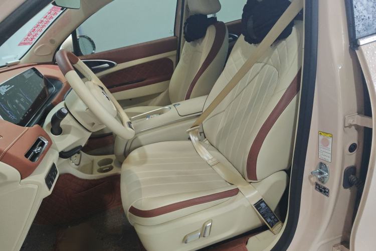 Used ORA Good Cat 2023 401 km Standard Range Premium Version Lithium Iron Phosphate
