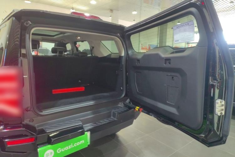 Used Tank 400 New Energy 2024 Hi4-T City Edition
