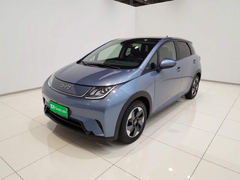 Used BYD Dolphin 2024 Honor Edition 420km Fashion Version — 1