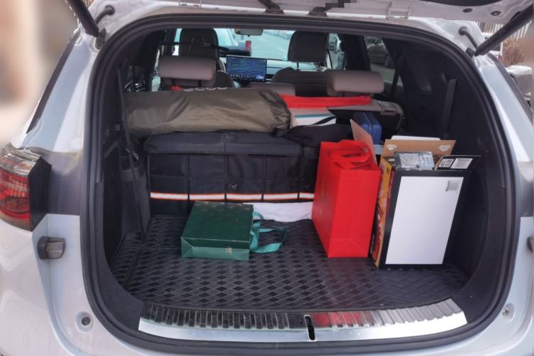 Used BYD Tang New Energy 2024 EV Glory Edition 600KM Premium Model