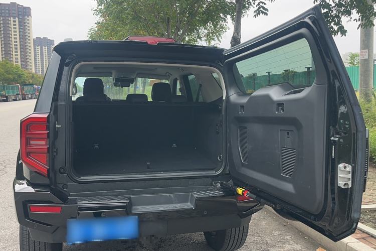 Used Tank 400 2025 2.0T Gasoline Version
