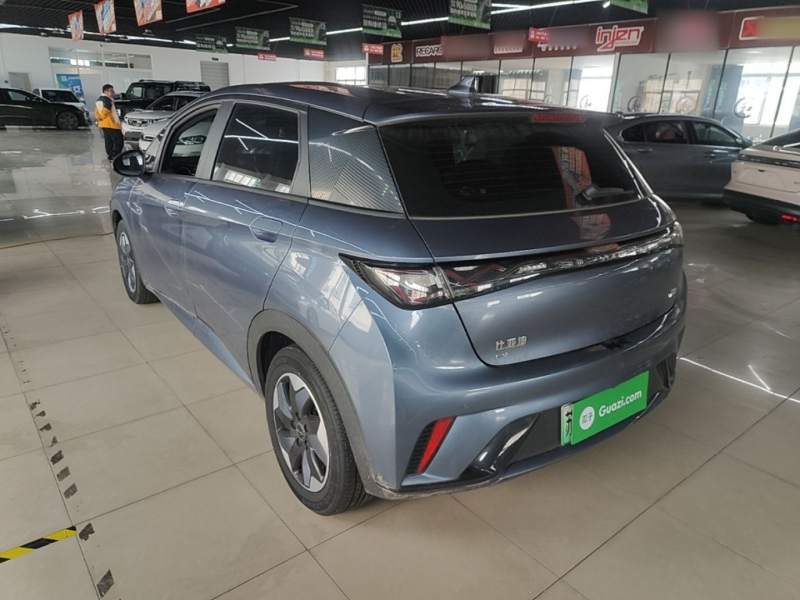 Used BYD Dolphin 2024 Honor Edition 420km Freedom Version — 4