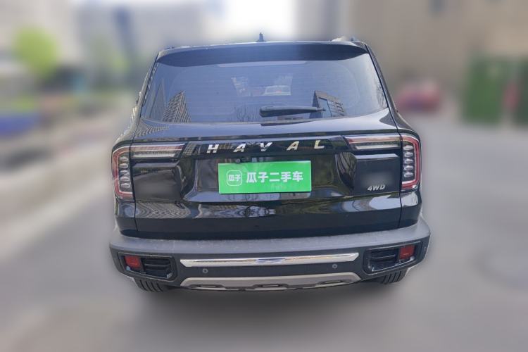 Used Haval DARGO 2021 2.0T DCT 4x4 Chinese Rural Dog Edition Rear